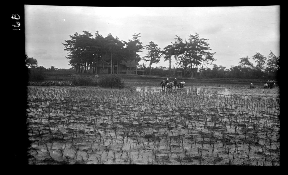 Travel views of Japan and Korea LOC agc.7a04678