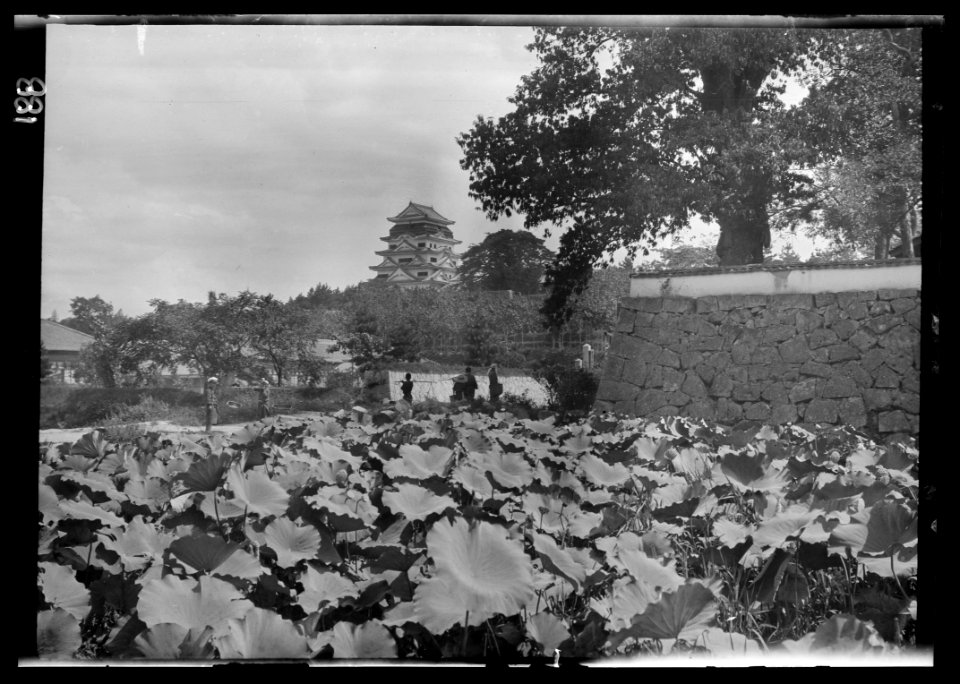 Travel views of Japan and Korea LOC agc.7a04698