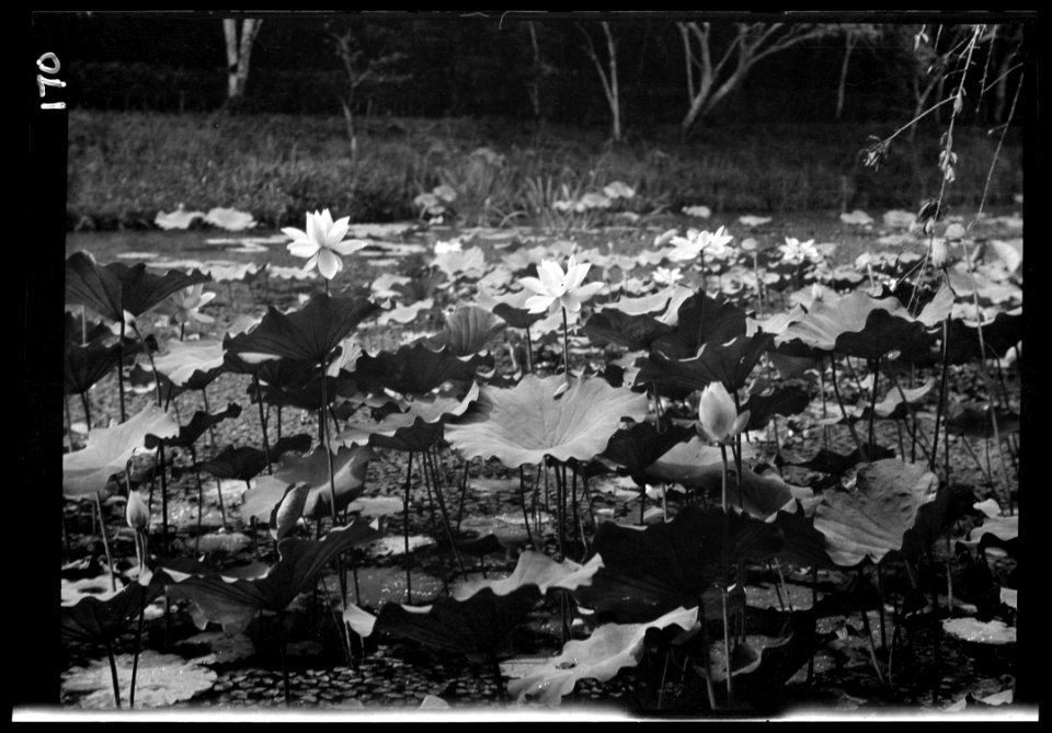 Travel views of Japan and Korea LOC agc.7a04680