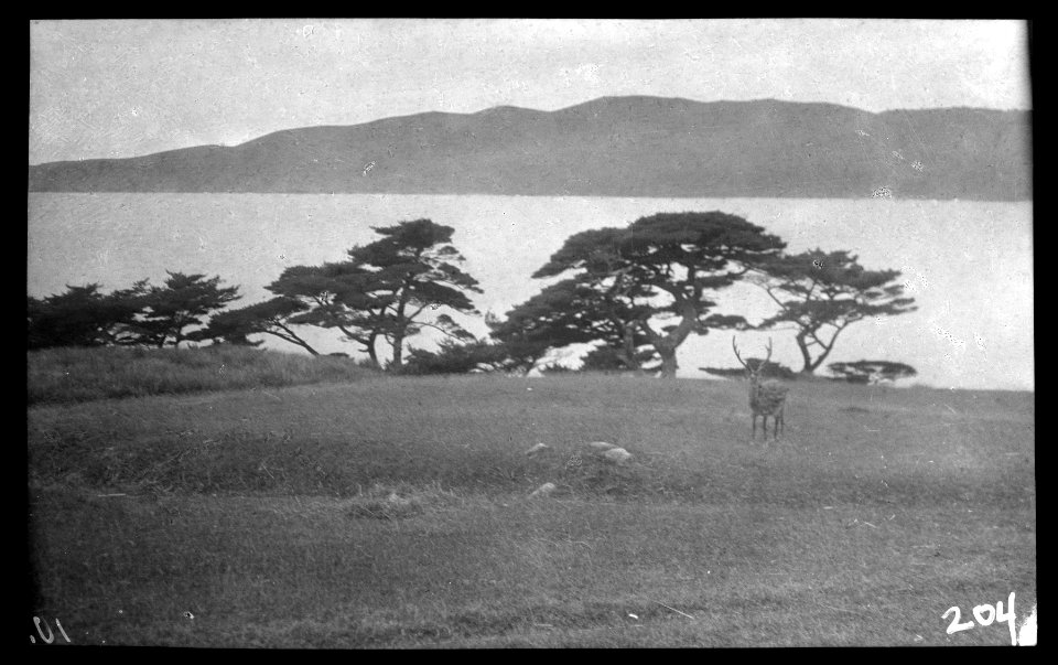 Travel views of Japan and Korea LOC agc.7a04711