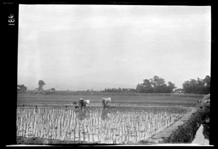 Travel views of Japan and Korea LOC agc.7a04696