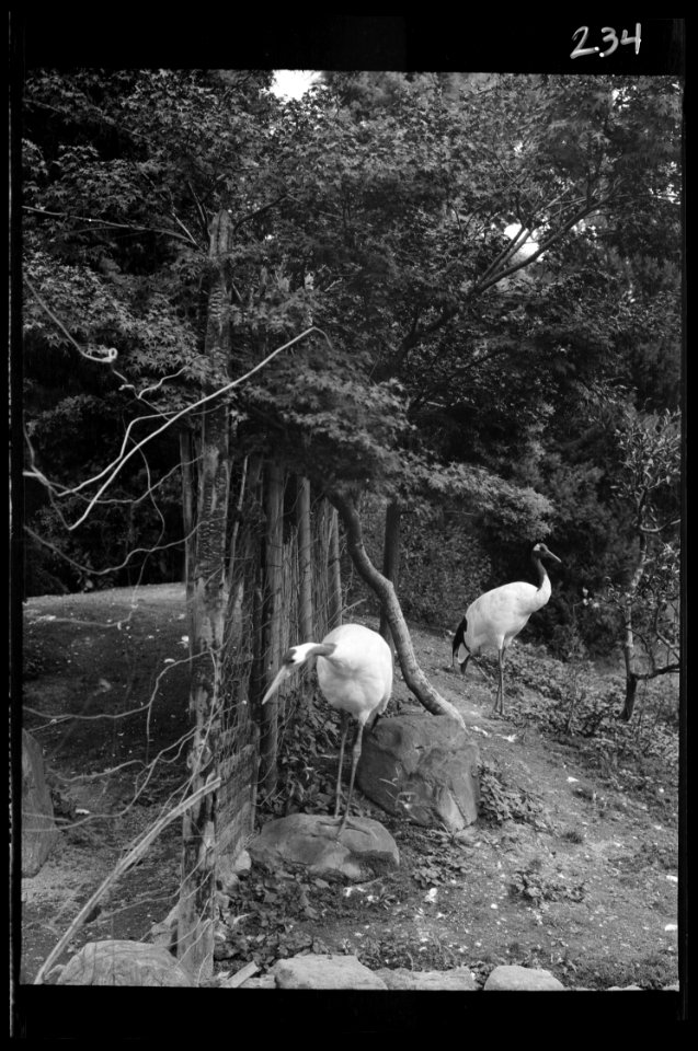Travel views of Japan and Korea LOC agc.7a04739