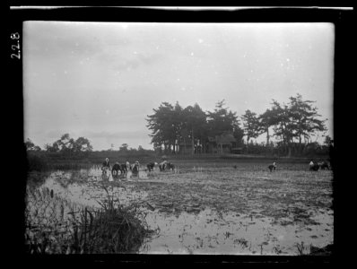 Travel views of Japan and Korea LOC agc.7a04733