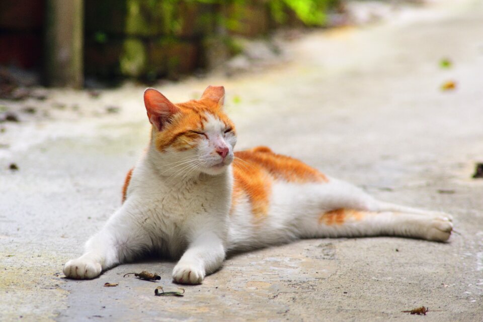 Cute nature outdoor