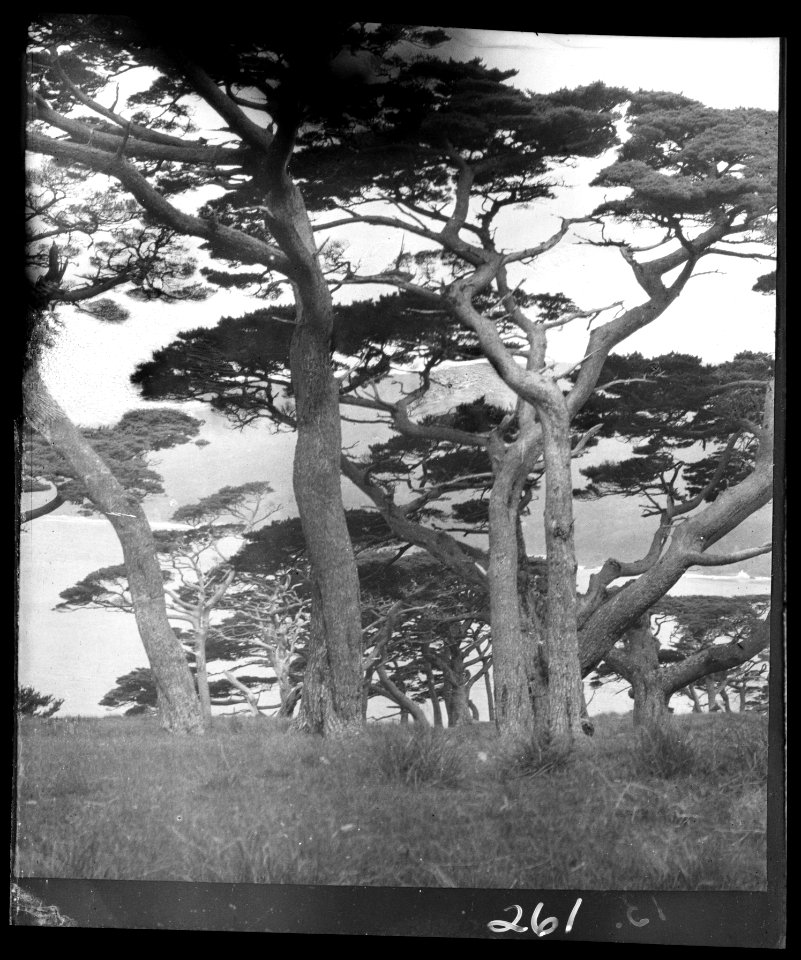 Travel views of Japan and Korea LOC agc.7a04764