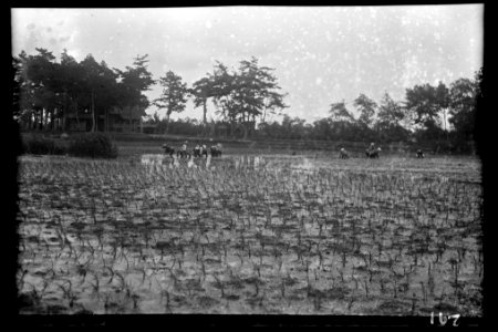 Travel views of Japan and Korea LOC agc.7a04792