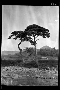 Travel views of Japan and Korea LOC agc.7a04779