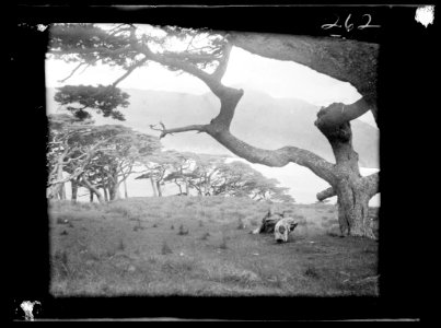 Travel views of Japan and Korea LOC agc.7a04765