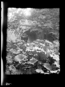 Travel views of Japan and Korea LOC agc.7a04714