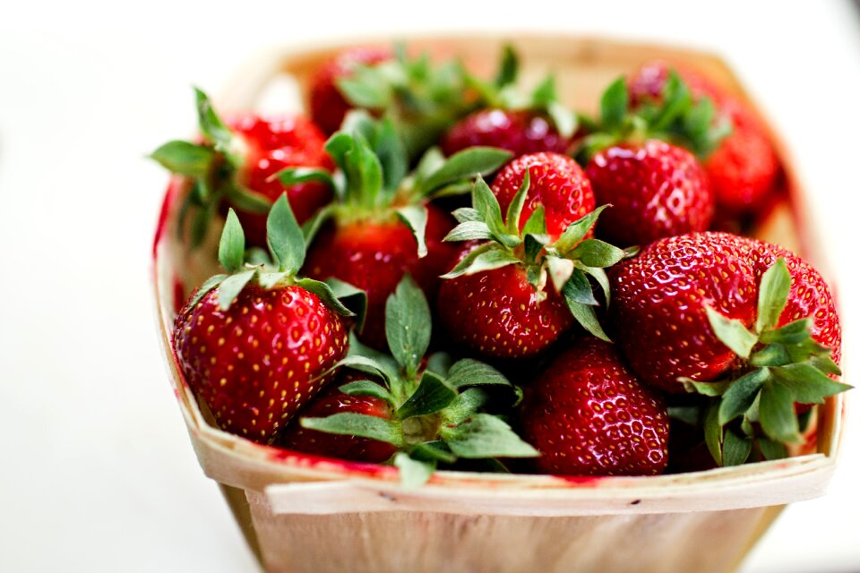 Food dessert fresh