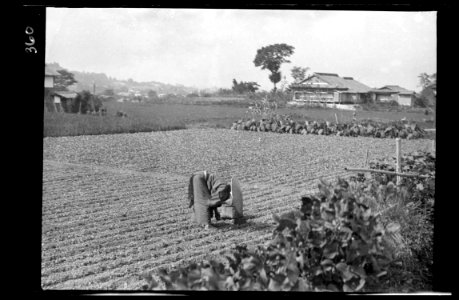 Travel views of Japan and Korea LOC agc.7a04859