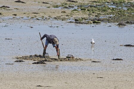 Coast sea ebb photo