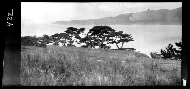 Travel views of Japan and Korea LOC agc.7a04917