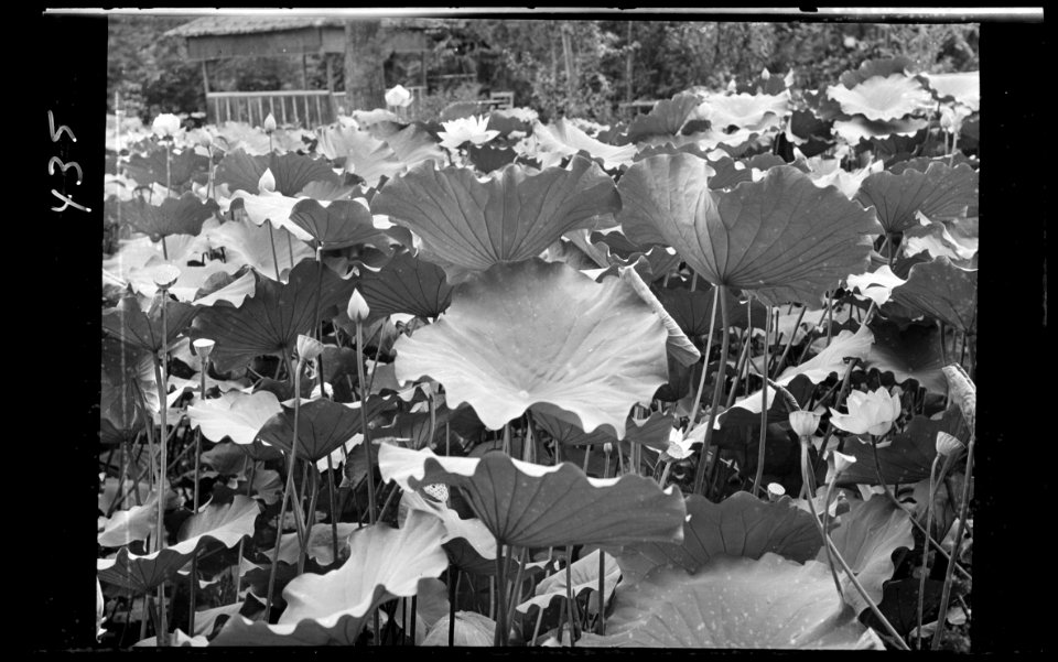 Travel views of Japan and Korea LOC agc.7a04930