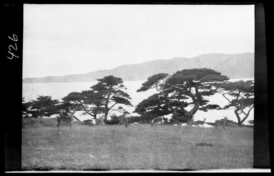 Travel views of Japan and Korea LOC agc.7a04921