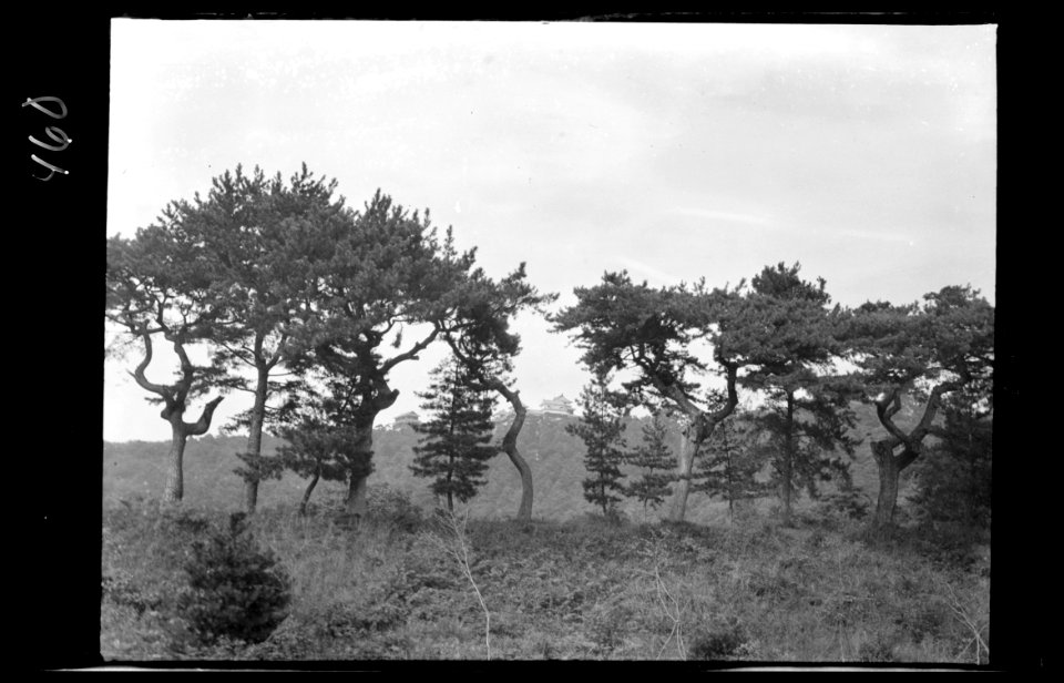 Travel views of Japan and Korea LOC agc.7a04956