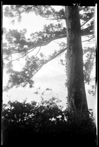 Travel views of Japan and Korea LOC agc.7a04916