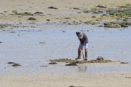 Coast sea ebb photo