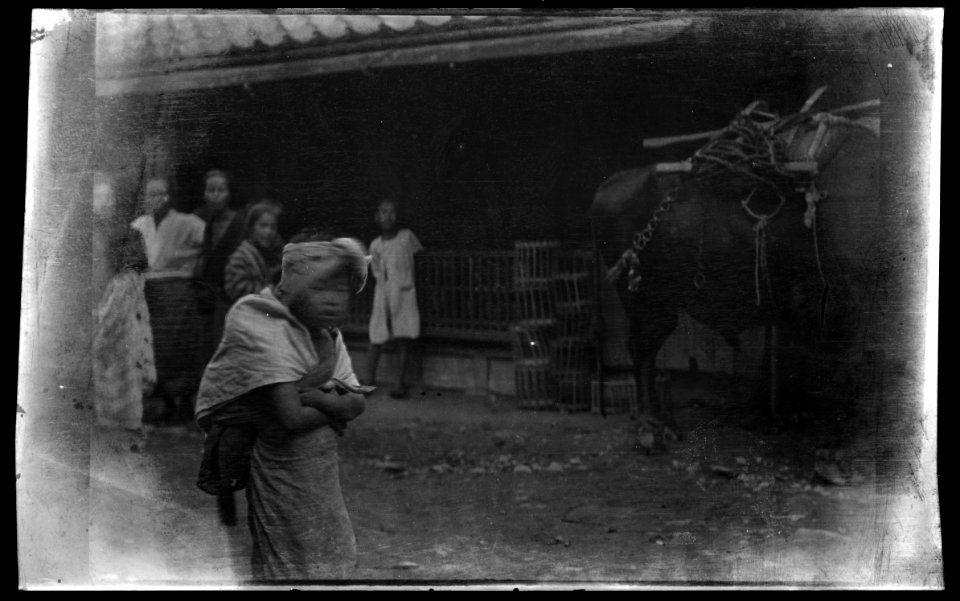 Travel views of Japan and Korea LOC agc.7a05030