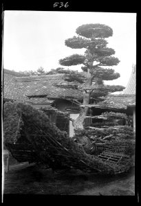Travel views of Japan and Korea LOC agc.7a05033