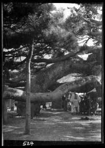 Travel views of Japan and Korea LOC agc.7a05024