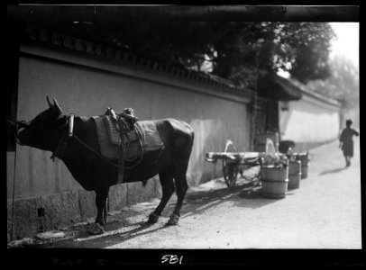 Travel views of Japan and Korea LOC agc.7a05079