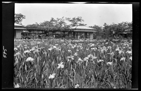Travel views of Japan and Korea LOC agc.7a05073