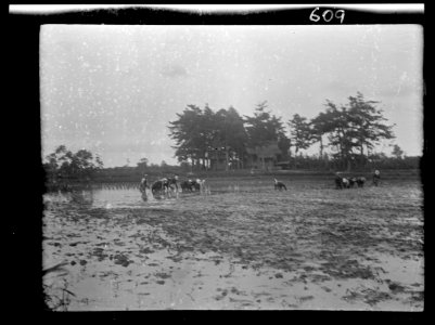 Travel views of Japan and Korea LOC agc.7a05108