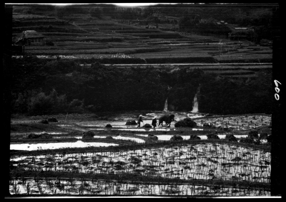 Travel views of Japan and Korea LOC agc.7a05098
