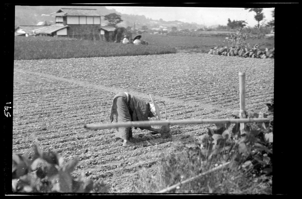 Travel views of Japan and Korea LOC agc.7a05089