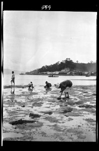 Travel views of Japan and Korea LOC agc.7a05097