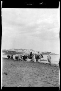 Travel views of Morocco LOC agc.7a04412