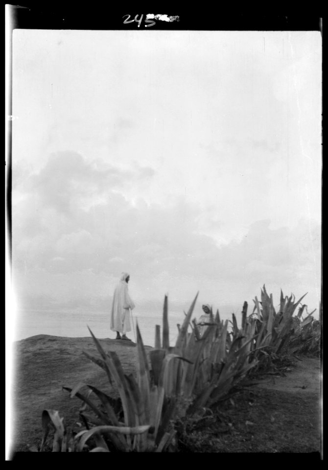 Travel views of Morocco LOC agc.7a04365
