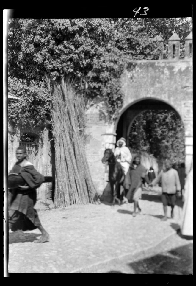 Travel views of Morocco LOC agc.7a04453