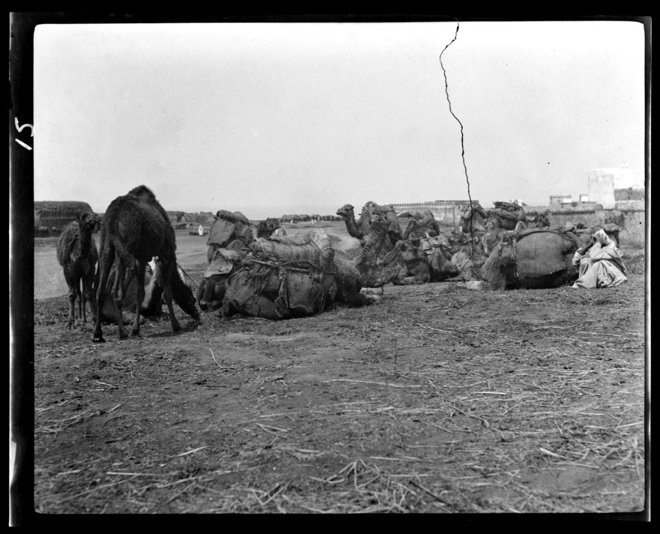 Travel views of Morocco LOC agc.7a04425