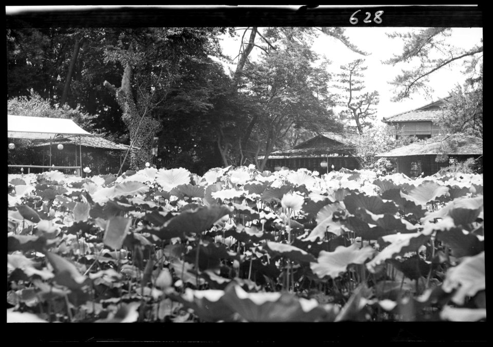 Travel views of Japan and Korea LOC agc.7a05124