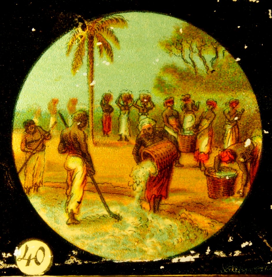 Traveling Tafel X picture 40