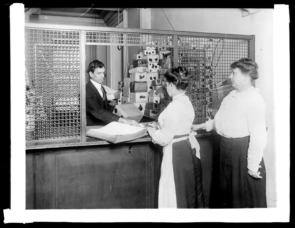 Treasury Dept. Ofc. U.S. Treasury, Express Clerks Cage, money to be redeemed, delivered from this cage to counters for verification, (1914) LCCN2016852708