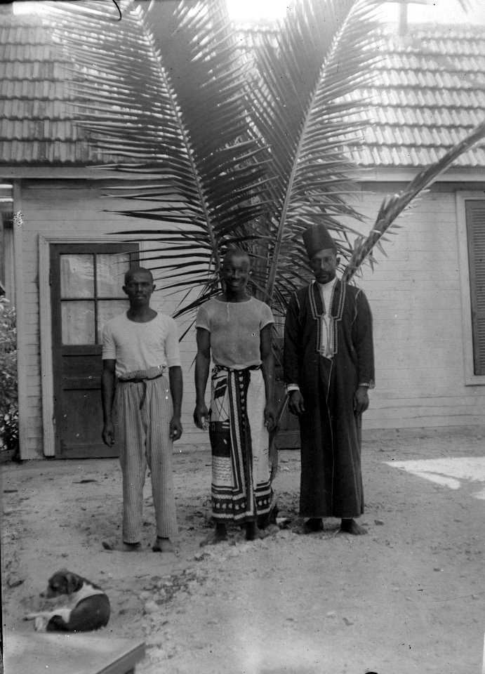 Tre av Richmanns tjänare vid kokospalmen på deras gård. Datum, 1906. Ort, Majunga, Madagaskar - SMVK - 021827