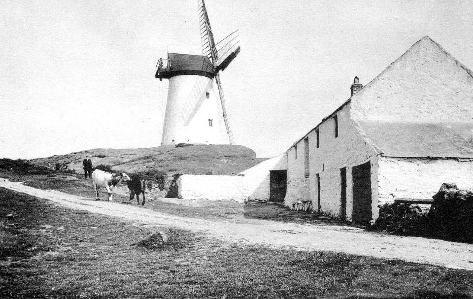 Treaddur Bay windmill
