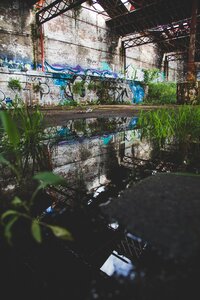 Grass wall graffiti photo