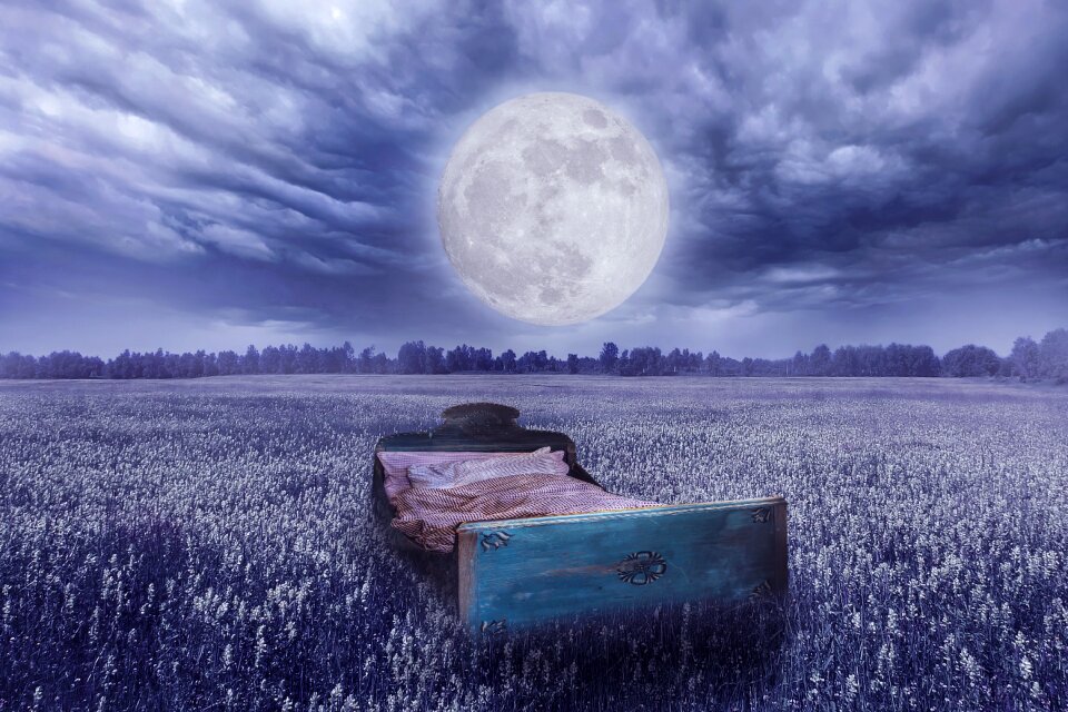 Field good night moonlight