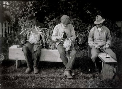 Tre män på bänk tvinnar metrev och flätar näverkorg. Jösse härad, Mangskogs socken, Värmland - Nordiska Museet - NMA.0036533