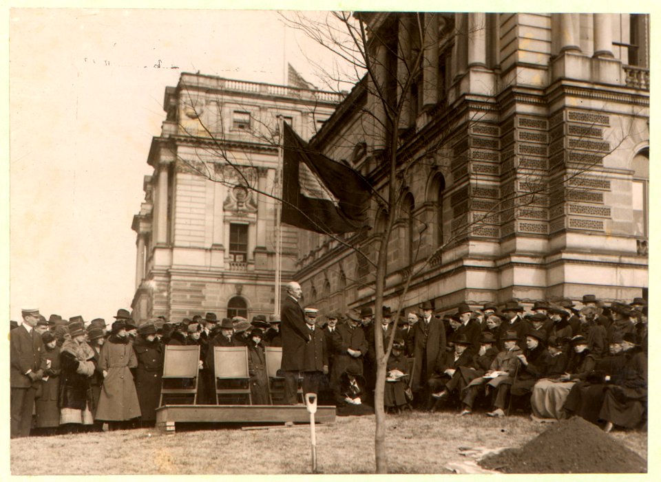 Tree planting ceremony - photo by Underwood & Underwood. LCCN99406905