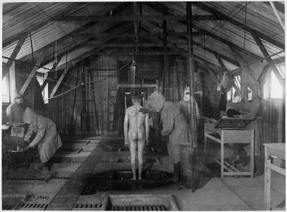 Treatment room for gassed patients at American Evacuation Hospital Number 2, Baccarat, France., 06-08-1918 - NARA - 530729 photo