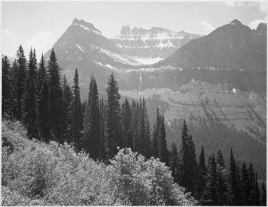 Trees and bushes in foreground, mountains in background, In Glacier National Park, Montana., 1933 - 1942 - NARA - 519859