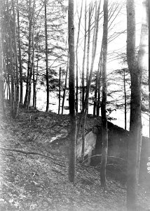 Treffer auf der Betondecke des Maschinengewehrunterstandes - CH-BAR - 3240196