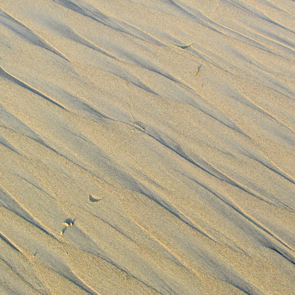 Texture abstract rough