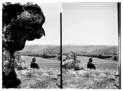 Trees and shrubs. LOC matpc.06188