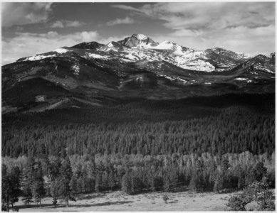 Trees in foreground, snow covered mountain in background, Long's Peak from North, Rocky Mountain National Park, Colora - NARA - 519969